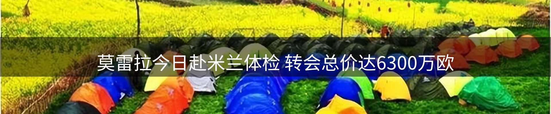 最新动态
