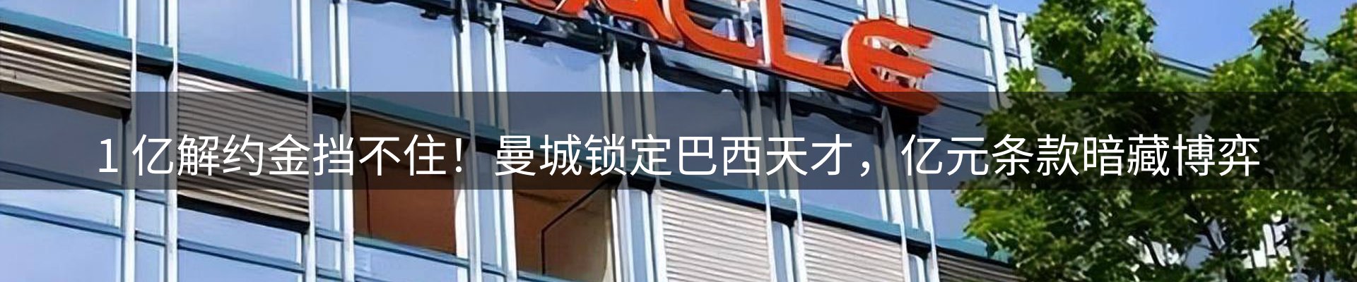 最新动态